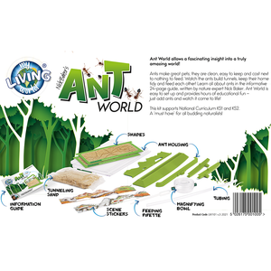 Ant World