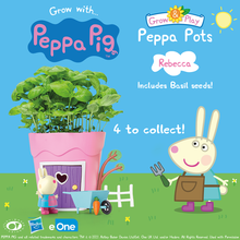 Peppa Pots - Rebecca Rabbit