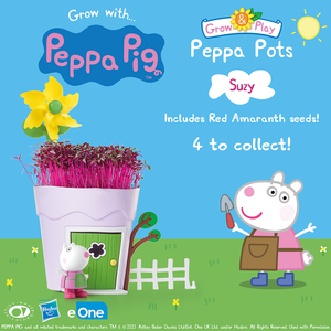 Peppa Pots - Suzy Sheep
