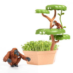 Orangutans’ Treetop Adventure